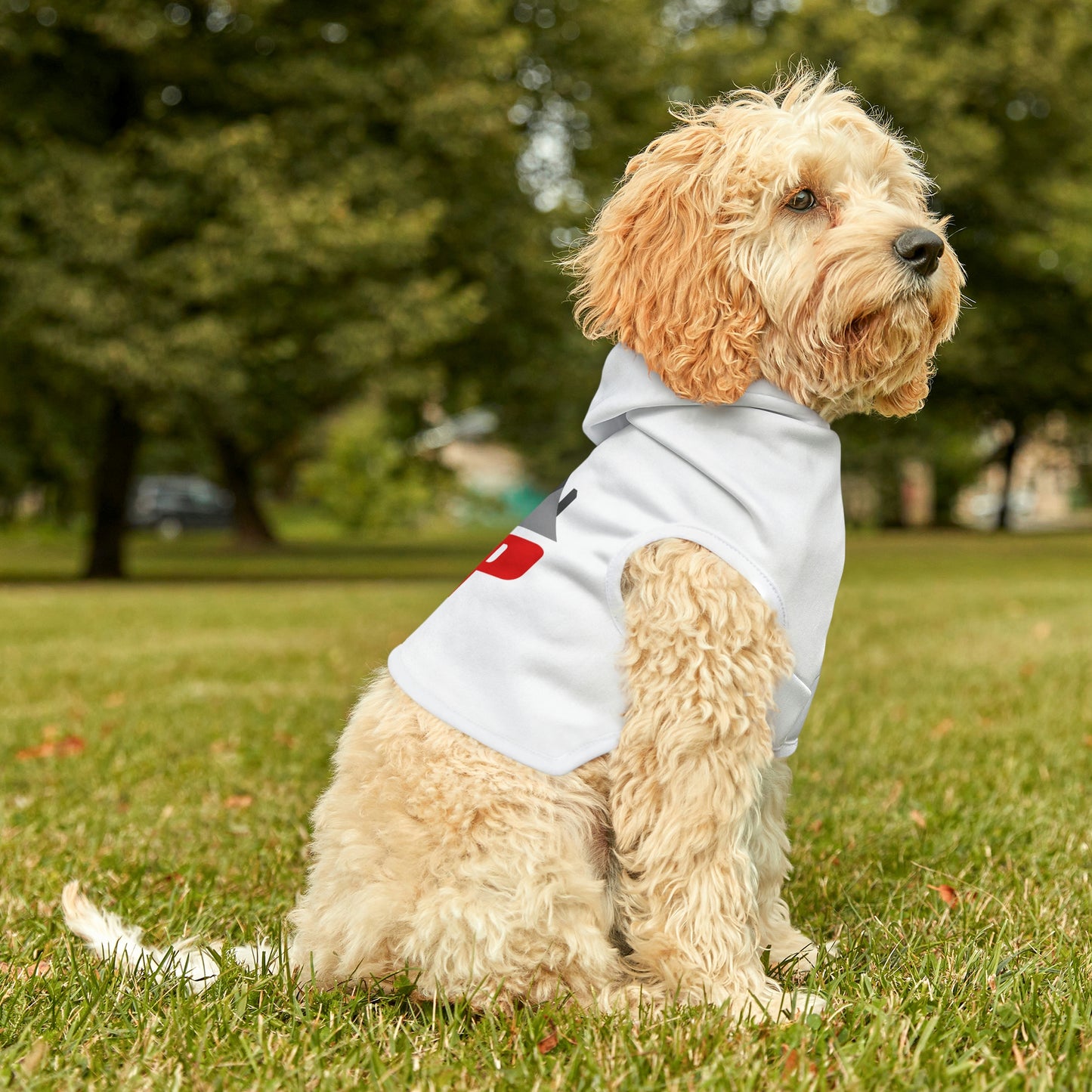 Branded Dog Hoodie